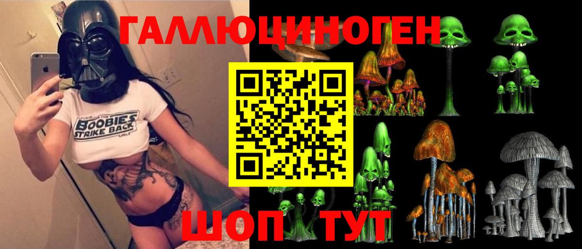Галлюциногенные грибы прущие грибы  Вход с VPN  Буйнакск 